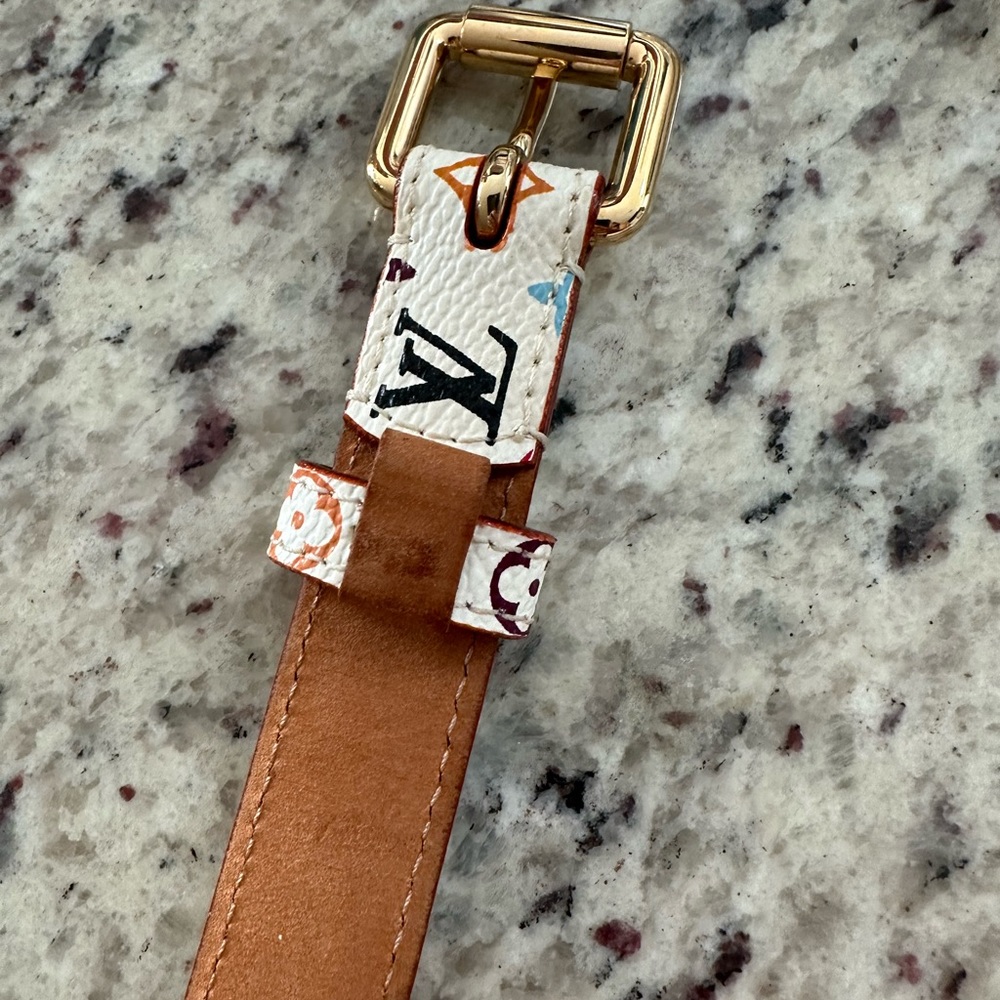 Louis Vuitton Vintage multi-color belt - Picture 7 of 7